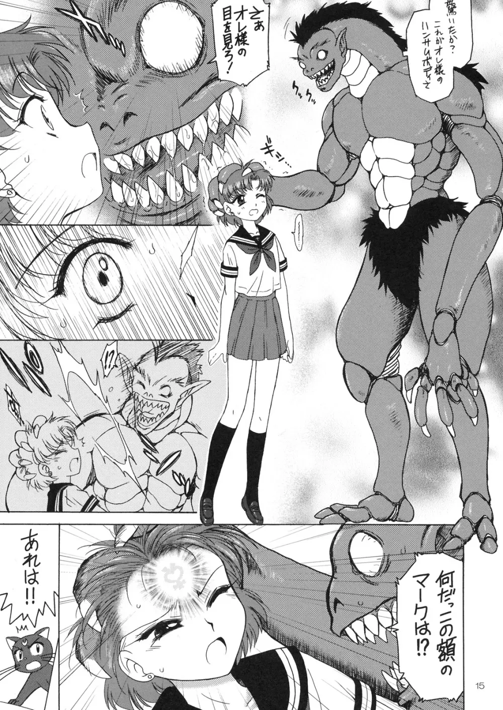 SUBMISSION-R RE・MERCURY Page.14
