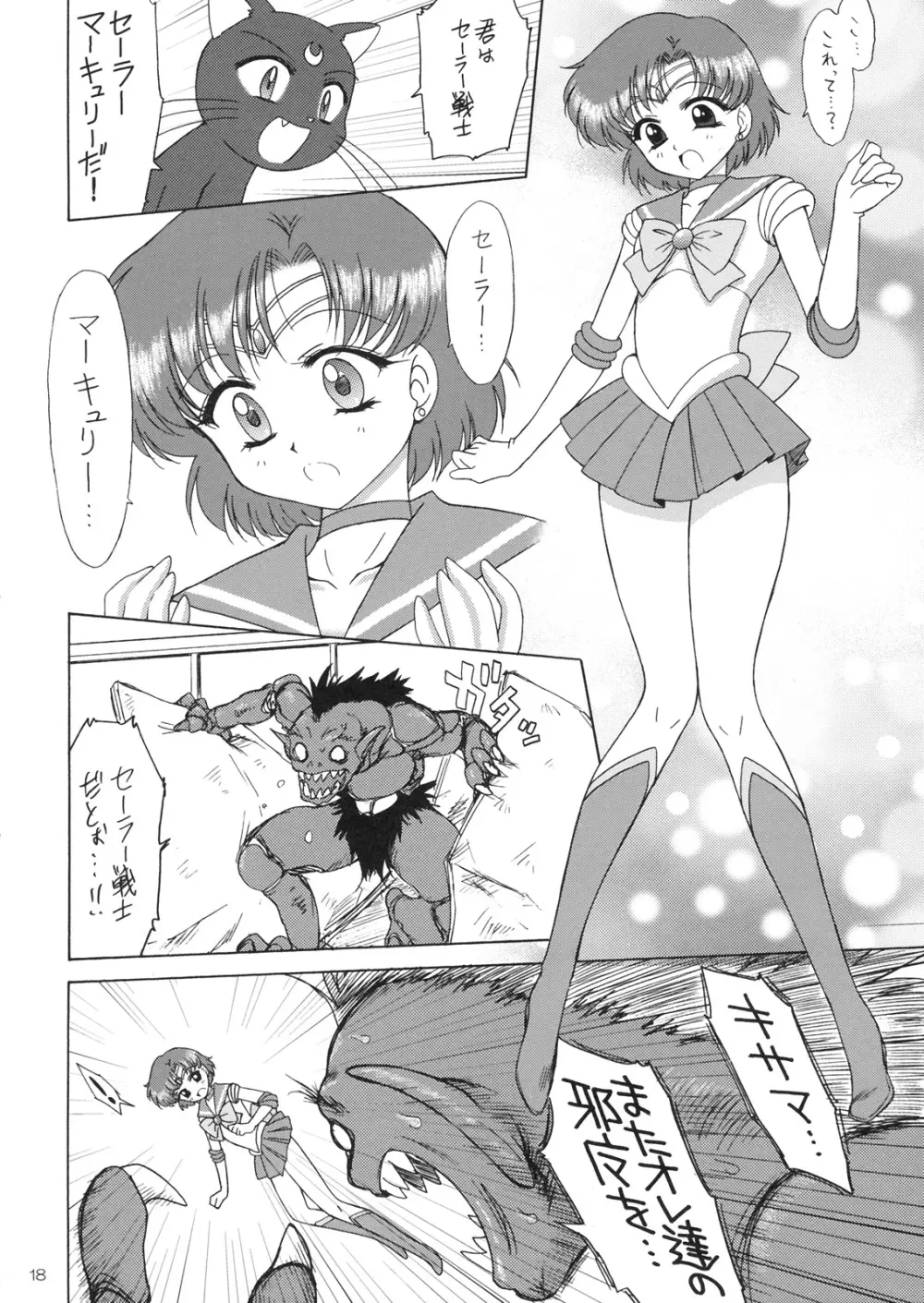 SUBMISSION-R RE・MERCURY Page.17