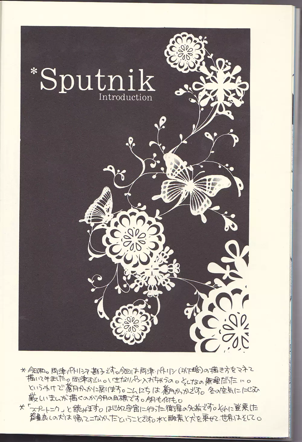 Sputnik Introduction Page.10