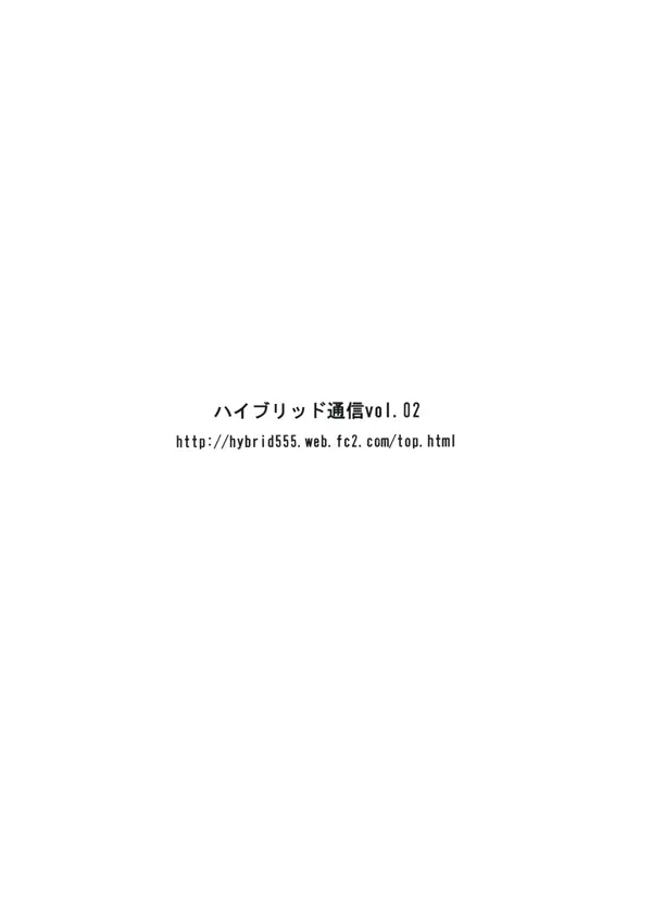 ハイブリッド通信増刊号vol.01 Page.45