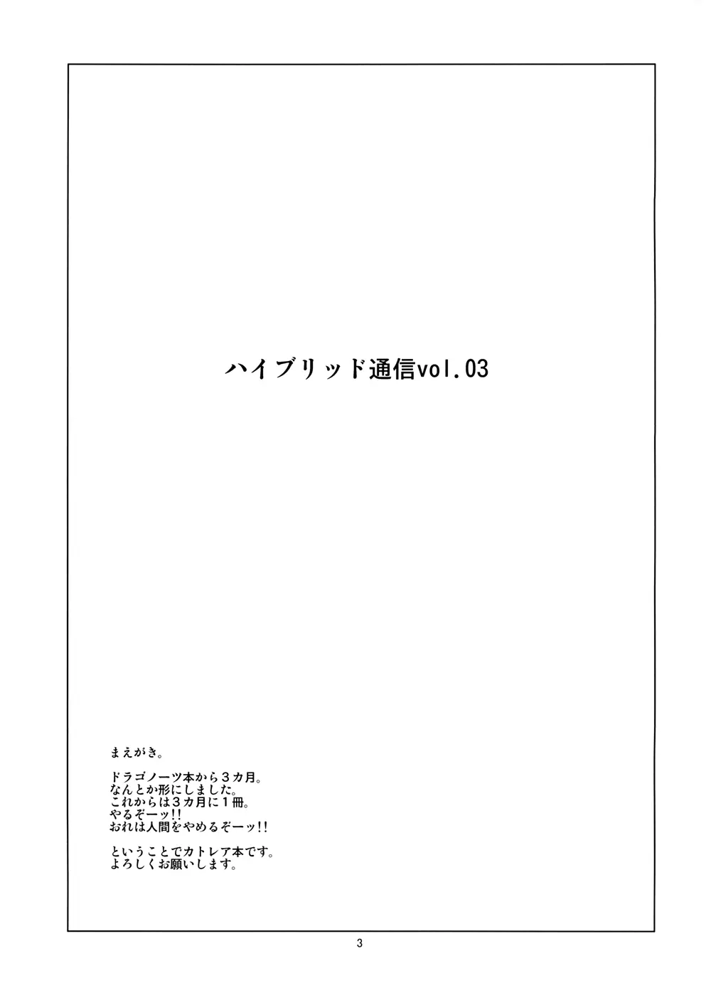 ハイブリッド通信増刊号vol.01 Page.47
