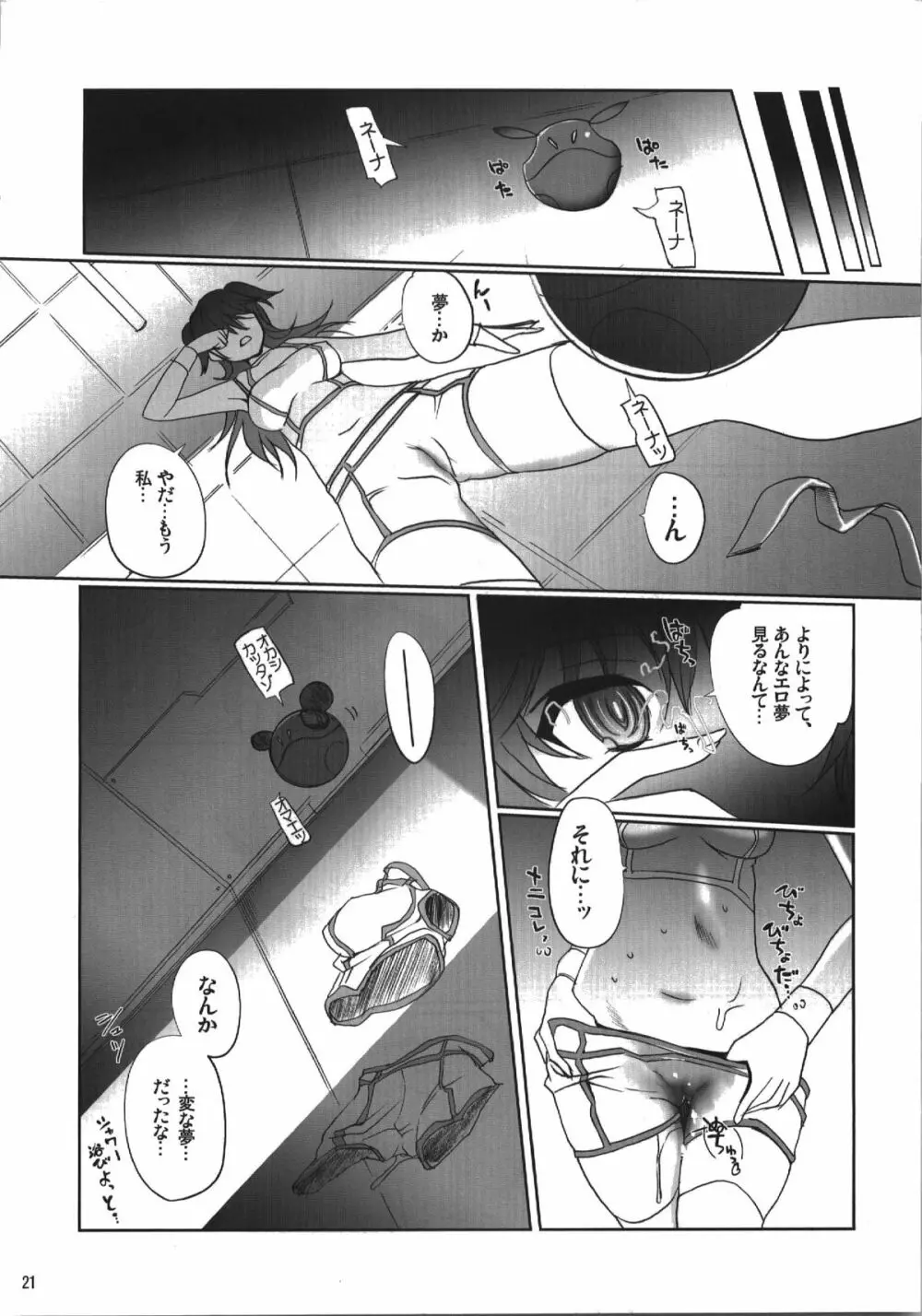 ネーナ タイフーン Page.21