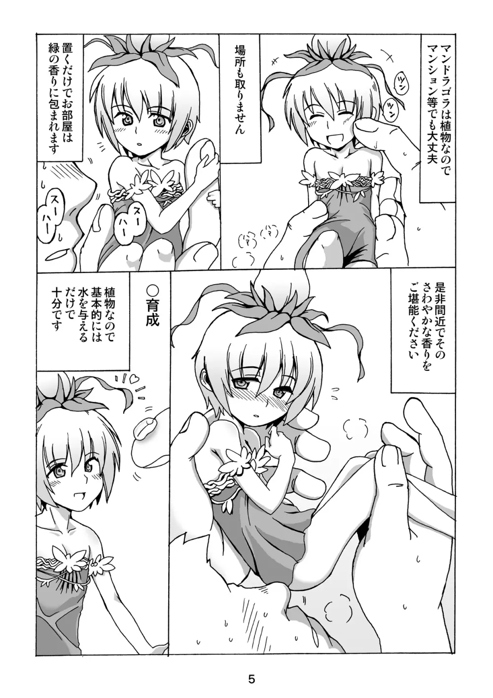 置くだけマンドラゴラ Page.4