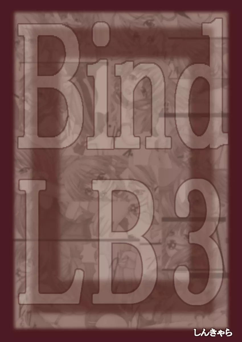 Bind LB3 Page.31