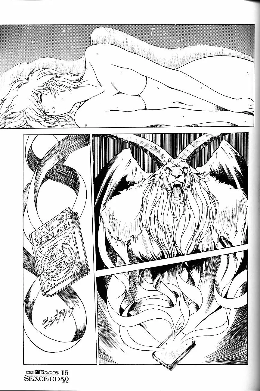 SEXCEED ver.5.0 Page.14