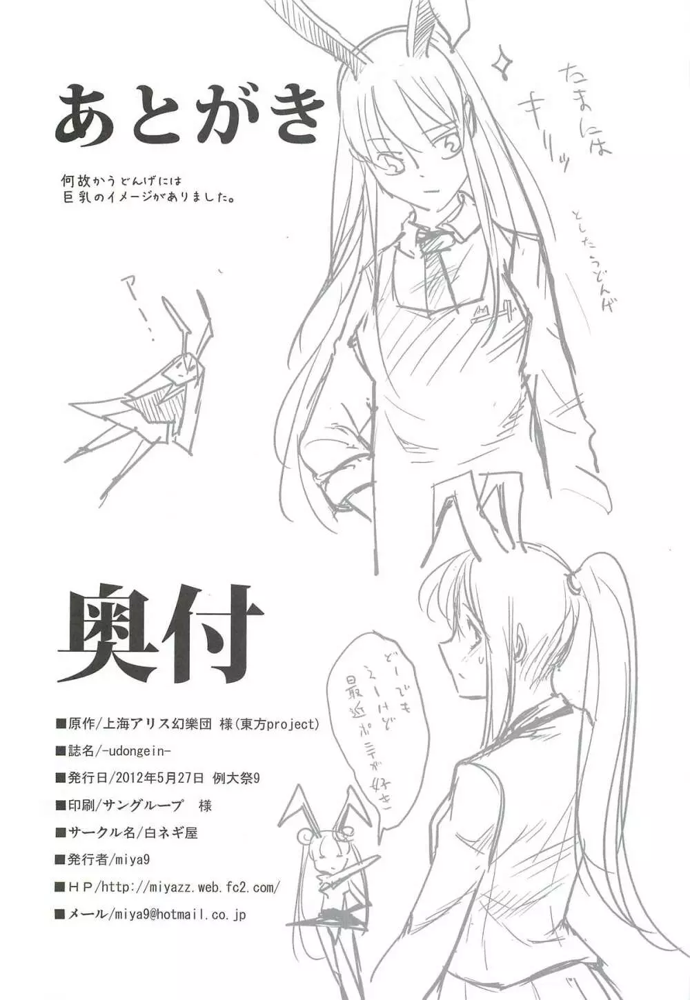 (例大祭9) [白ネギ屋 (miya9)] -udongein- (東方Project) Page.25