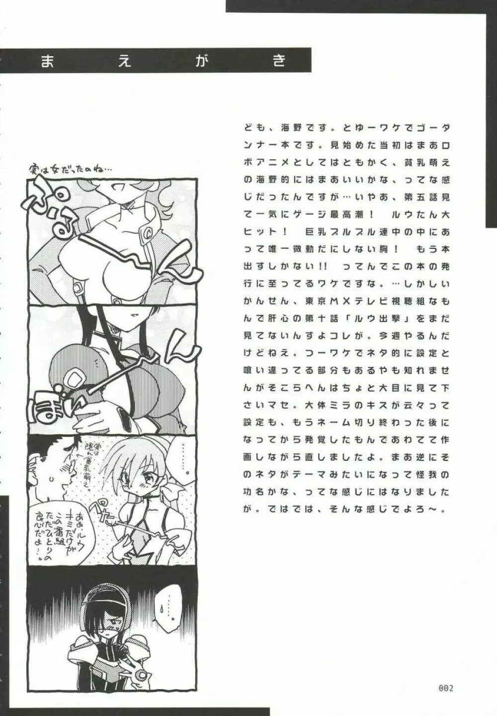 ゴーダンナーなのに貧乳本 Page.3