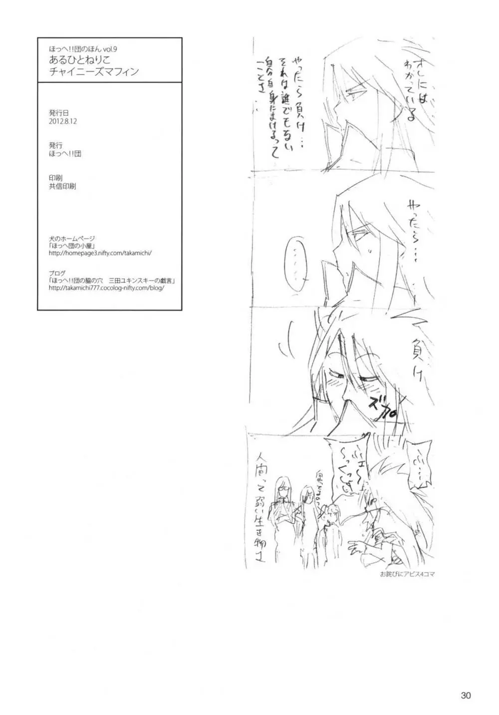 ほっへ!!団のほん vol.9 あるひとねりこ　チャイニーズマフィン Page.28