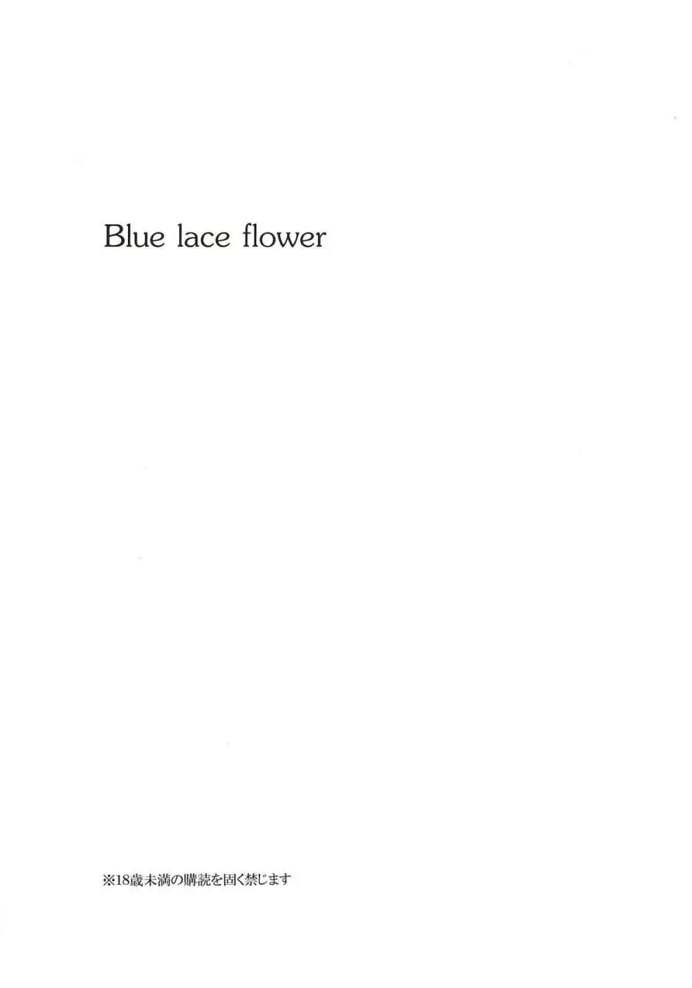 Blue lace flower Page.3