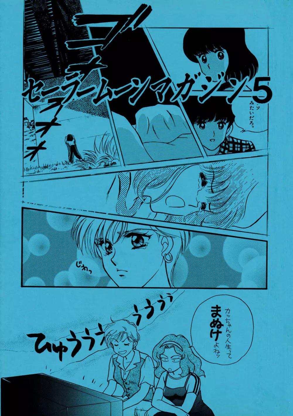 Sailor Moon JodanJanaiyo Page.114