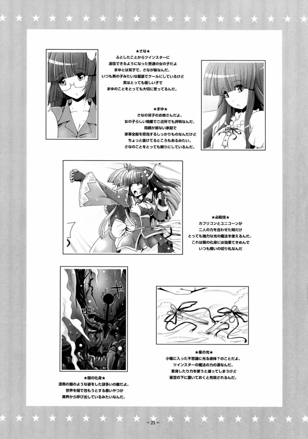 ツインスター・カプリコン Page.21