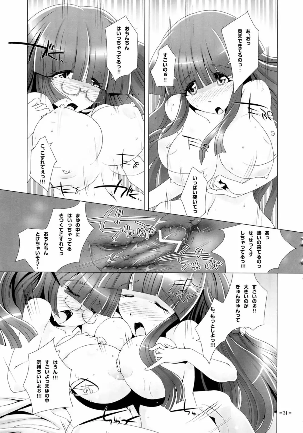 ツインスター・カプリコン Page.31