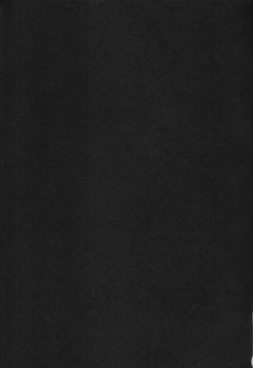 Black cat at night Page.2