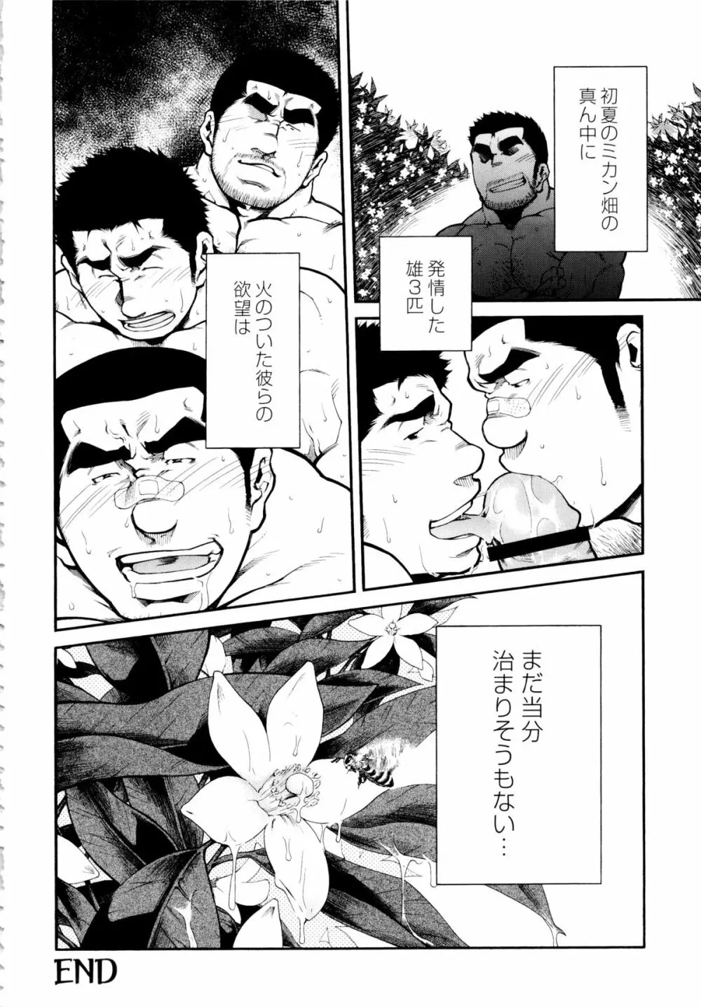 Osu Hachi no Mitsu - by -晃次郎 (Terujirou) Page.24