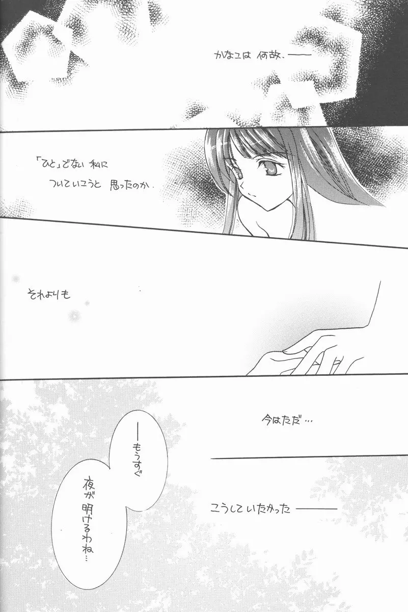 アゲハ蝶 Page.13
