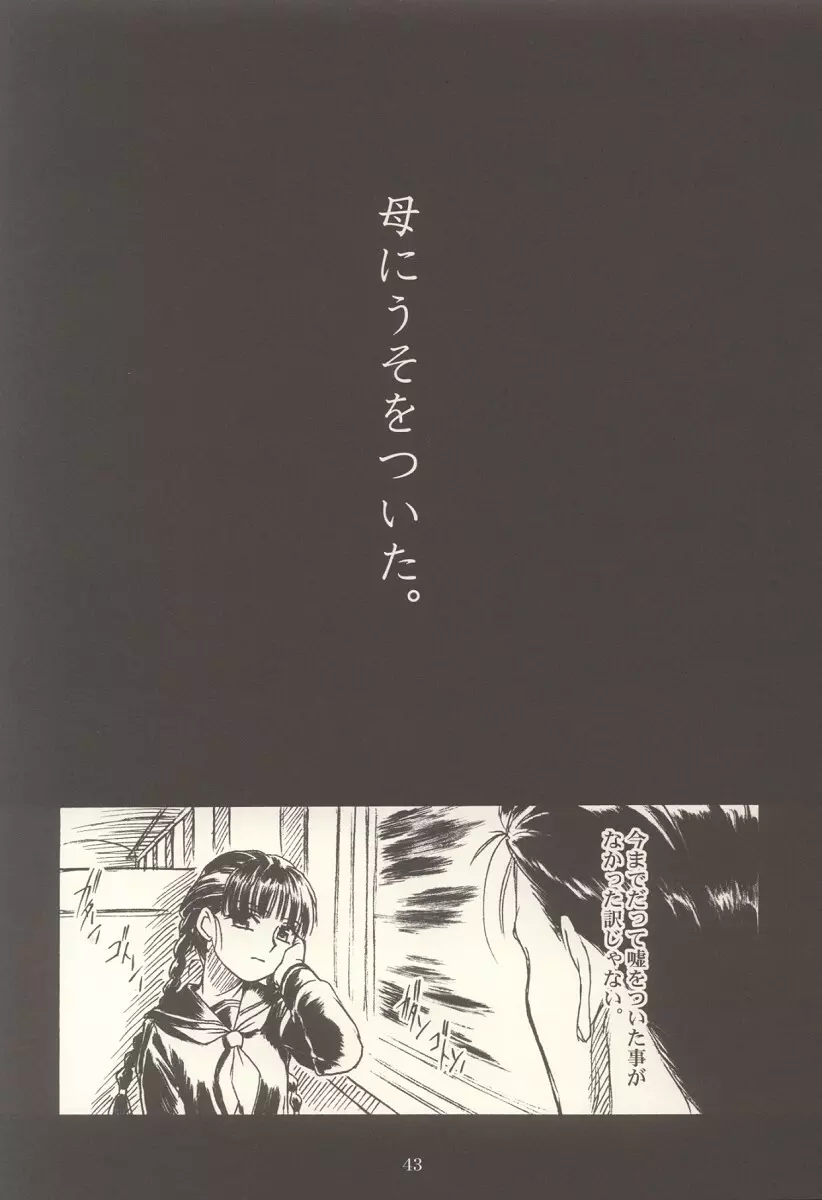 密 ～hisoka～ -ii・旅- Page.42