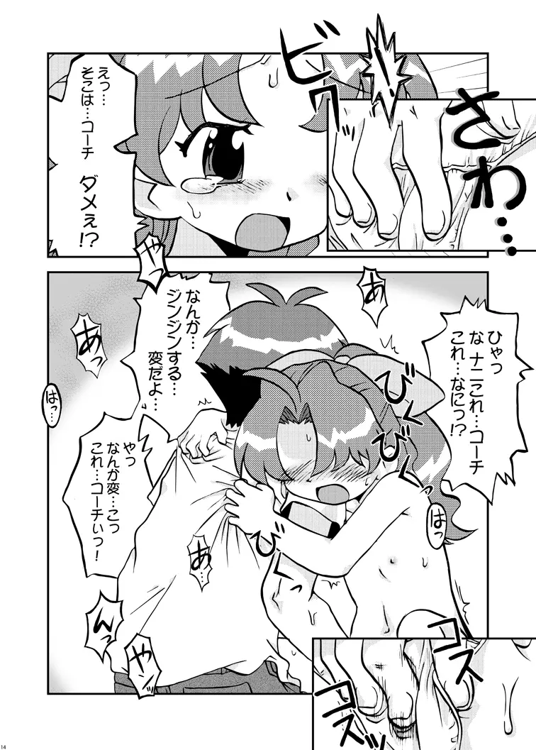 西洋薄雪草恋歌 Page.14