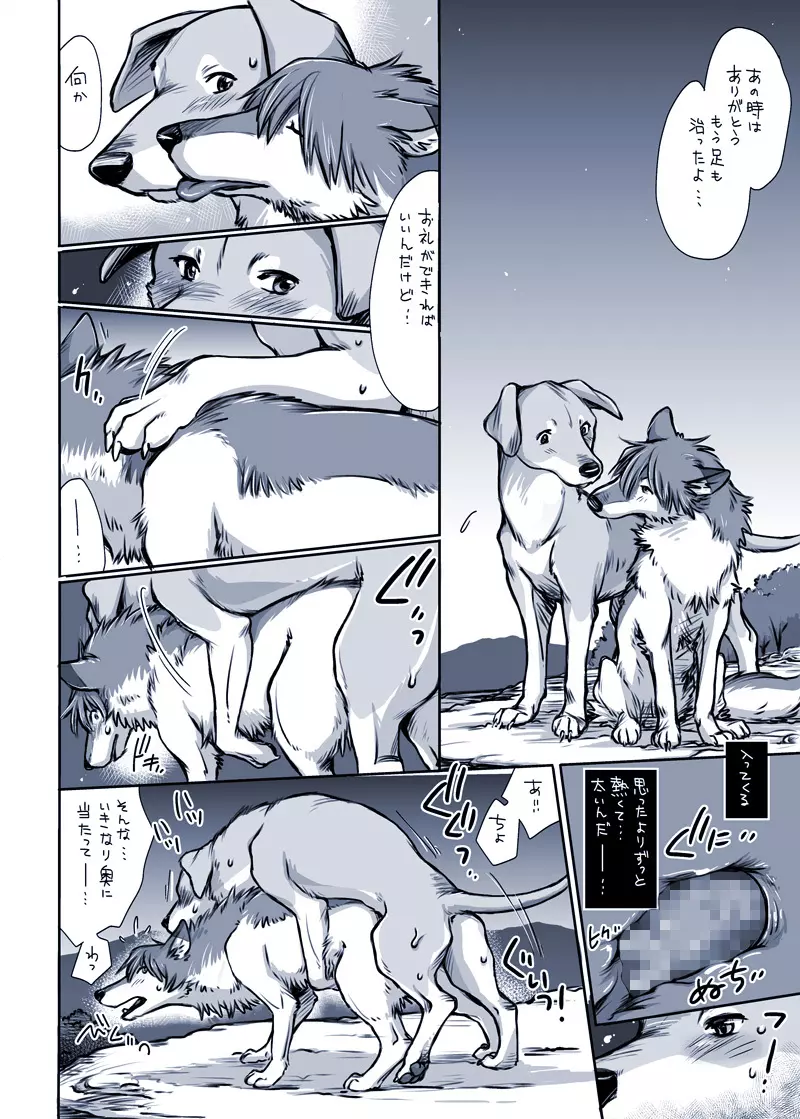 或る犬の場合 Page.6