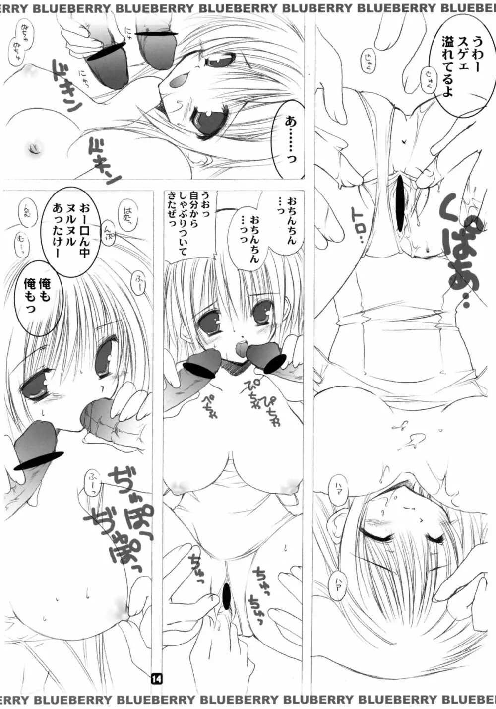 Blue berry Page.13