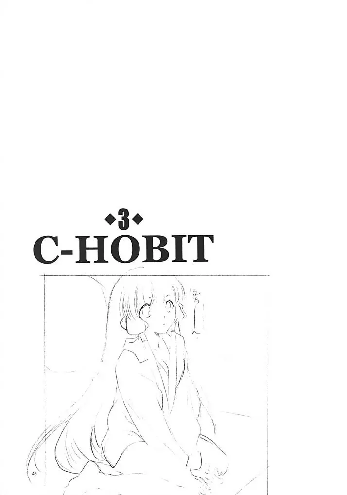 C-HOBIT 3 Page.44