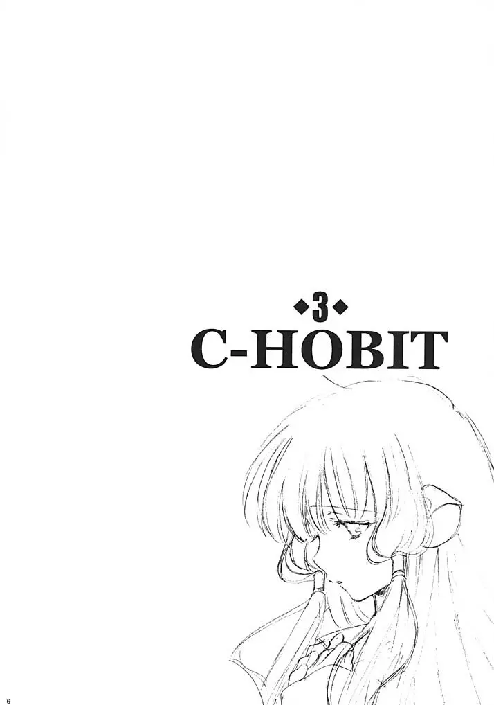 C-HOBIT 3 Page.5