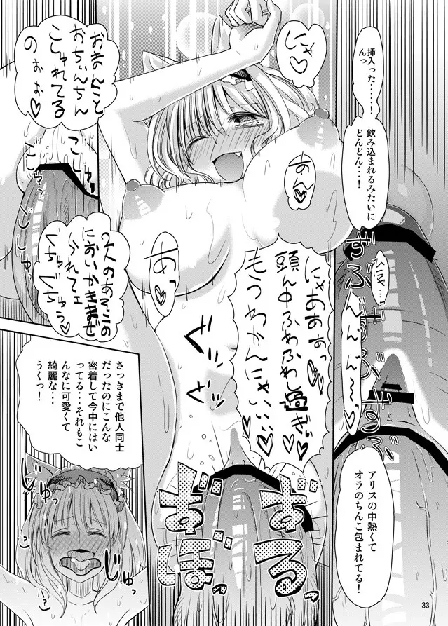 えっちなニャリスの作り方。 Page.32