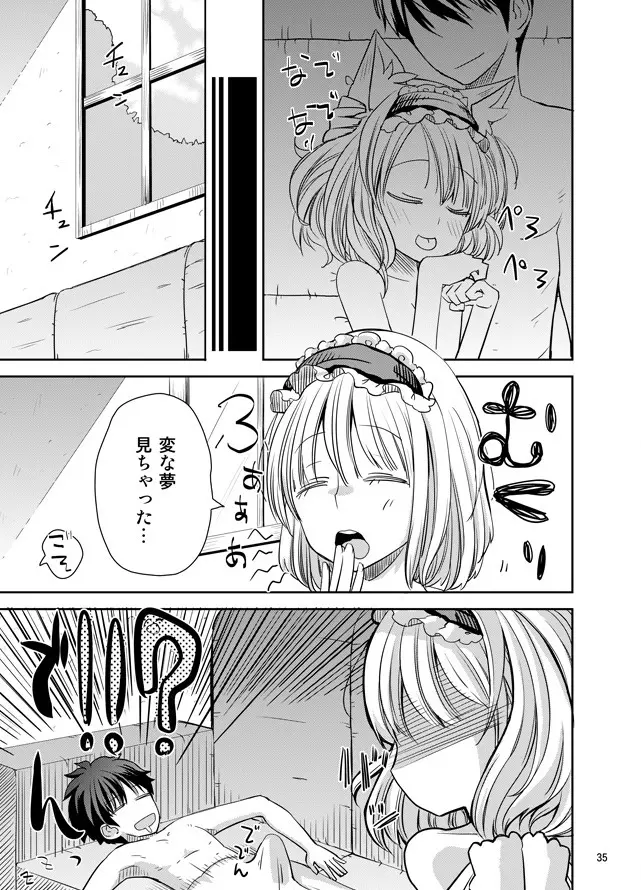 えっちなニャリスの作り方。 Page.34