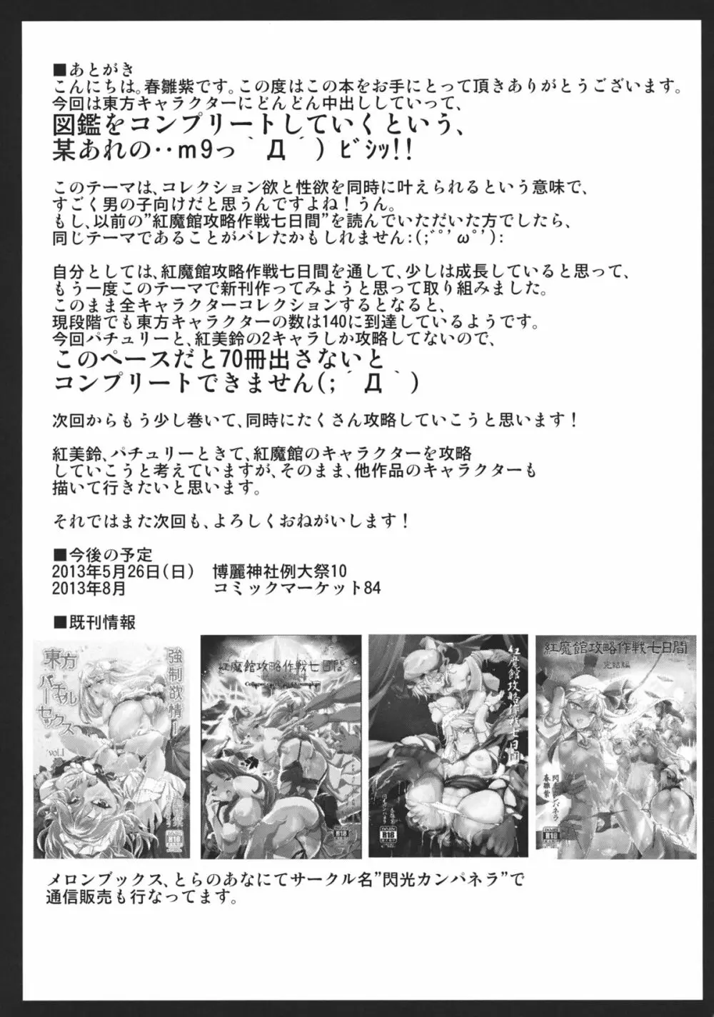幻想郷攻略作戦 パチュリー・紅美鈴編 Page.29