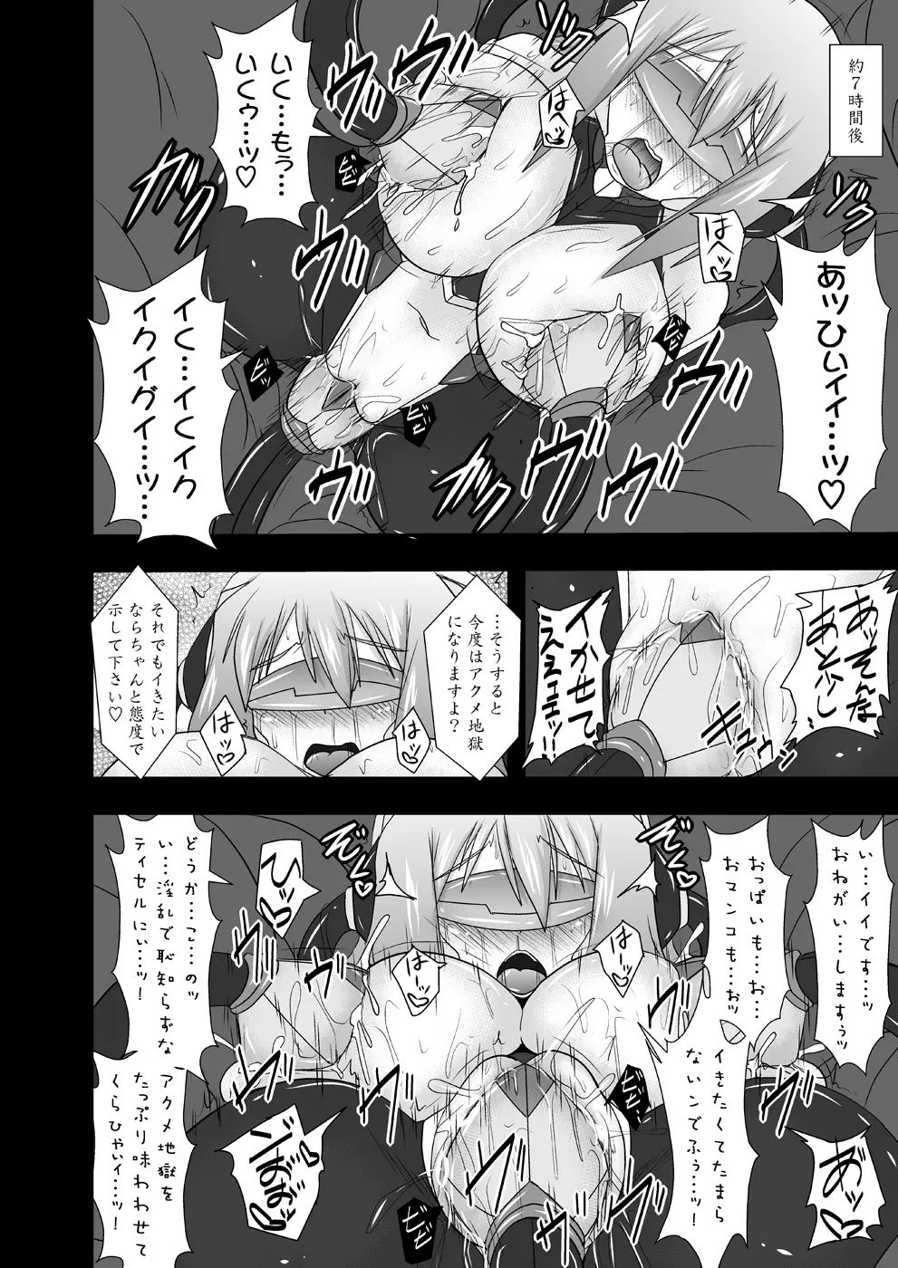 煌盾装騎エルセイン Vol.11 NETHER LABORATORY Page.25