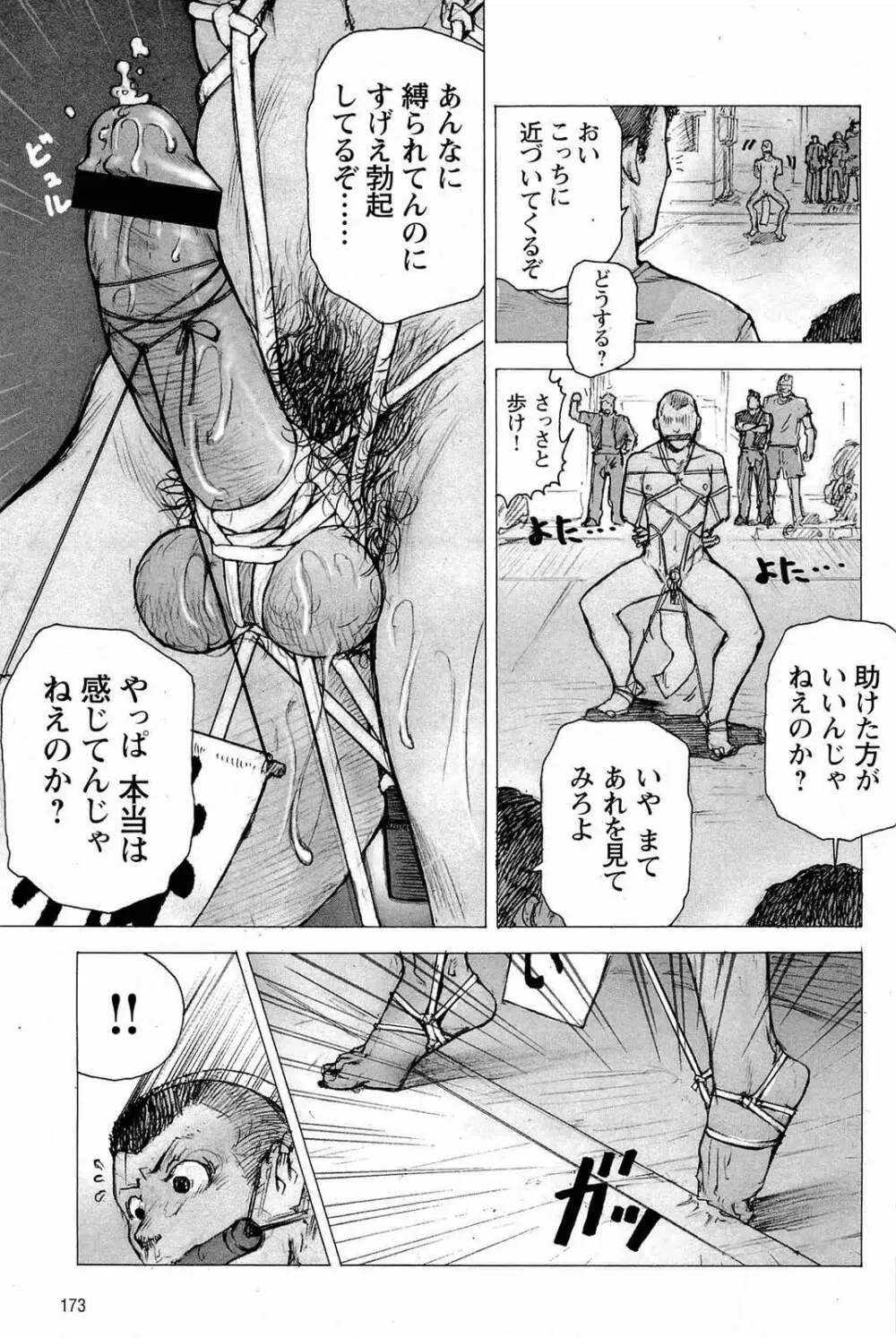 トレーニング・ドッグ Page.177