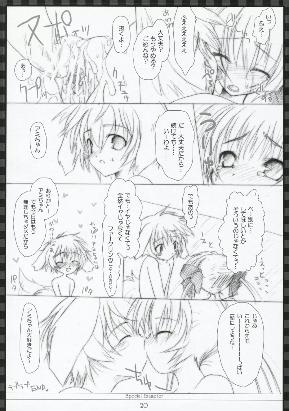 Special Exameter Page.19