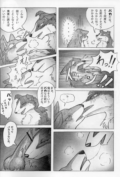 KTQ15/2 Page.9