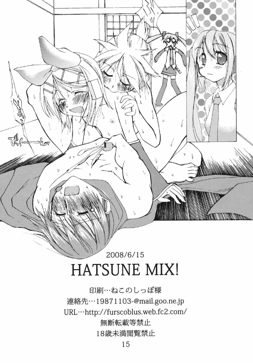 Hatsune Mix! Page.17