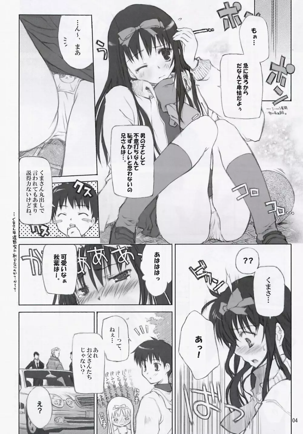 BS#04 月姫本 ディモルフォセカ Page.5