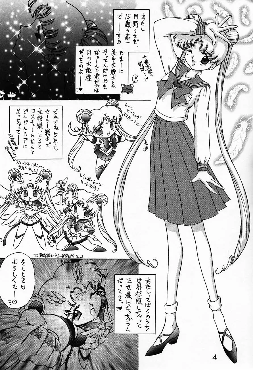 SUBMISSION SAILORMOON Page.3