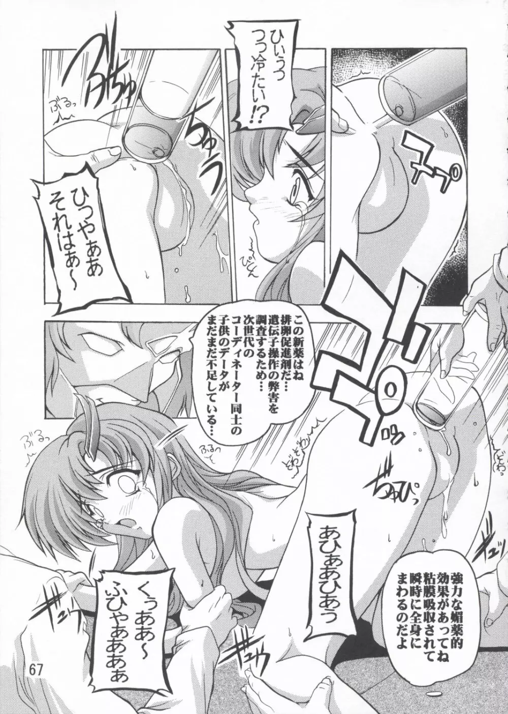 ラクス総集編ですてに～ Page.67