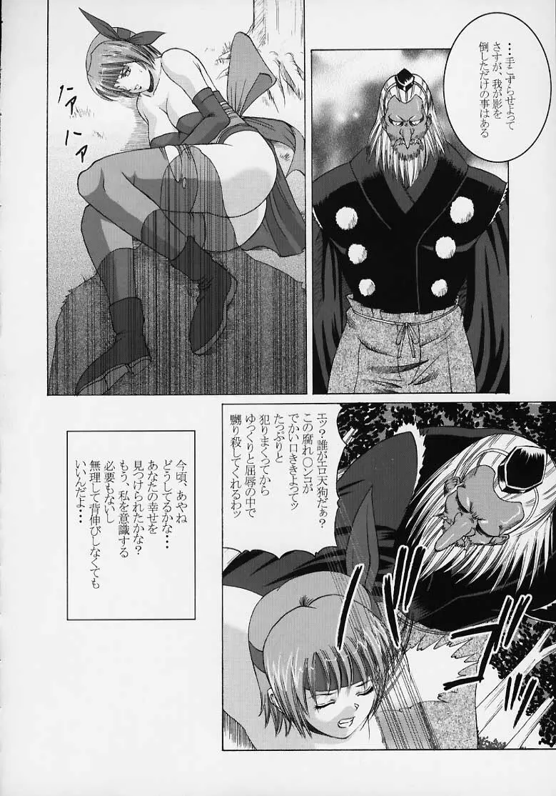 Kasumi Rengokugyou {Dead or Alive} Page.19