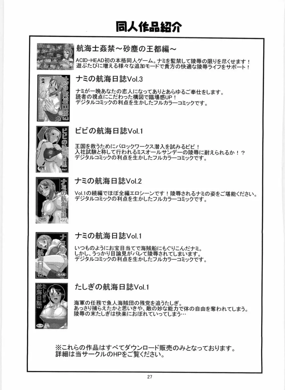 ナミの航海日誌すぺしゃる 4 Page.29