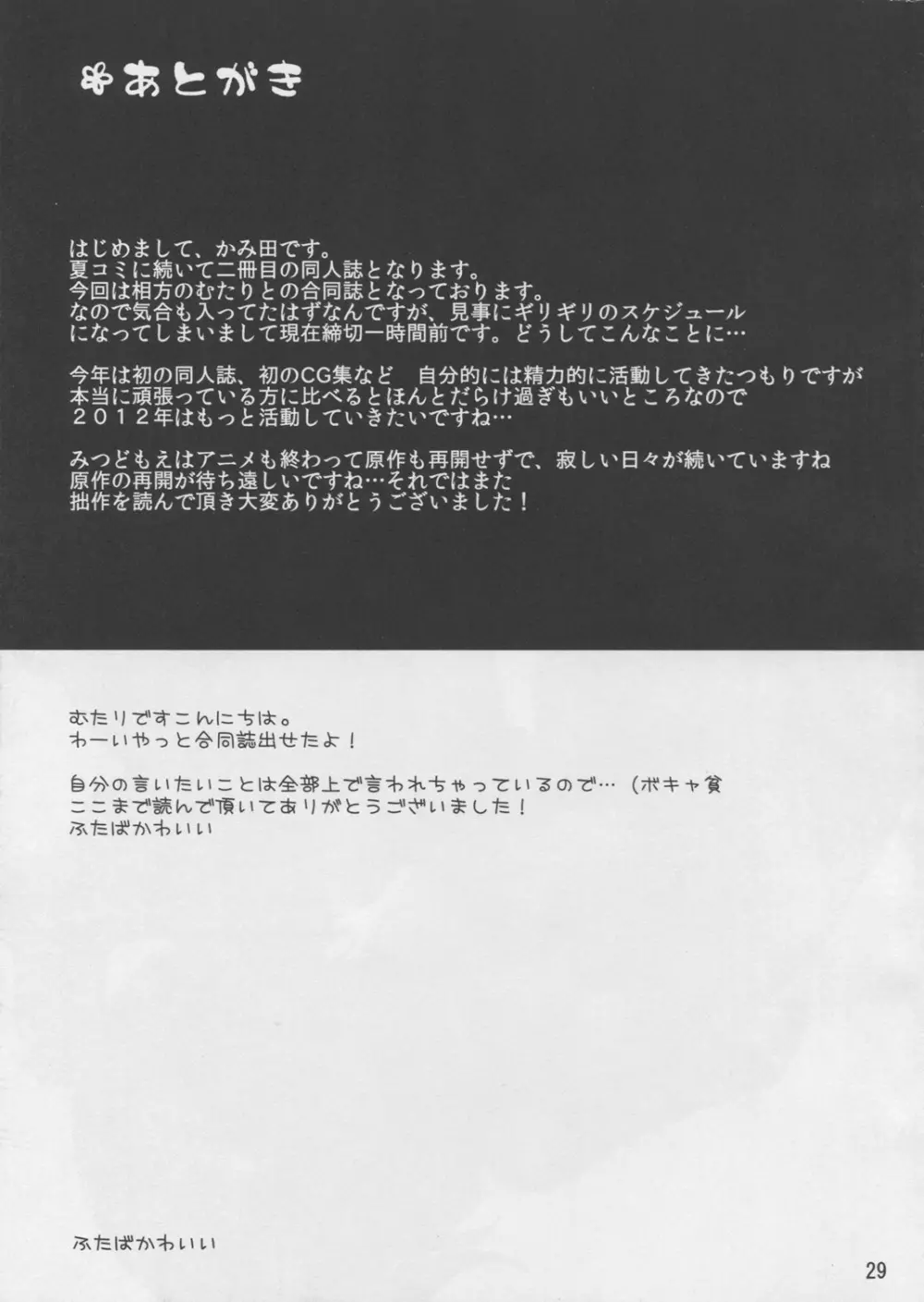 丸井姉妹のちじょりてぃ Page.29