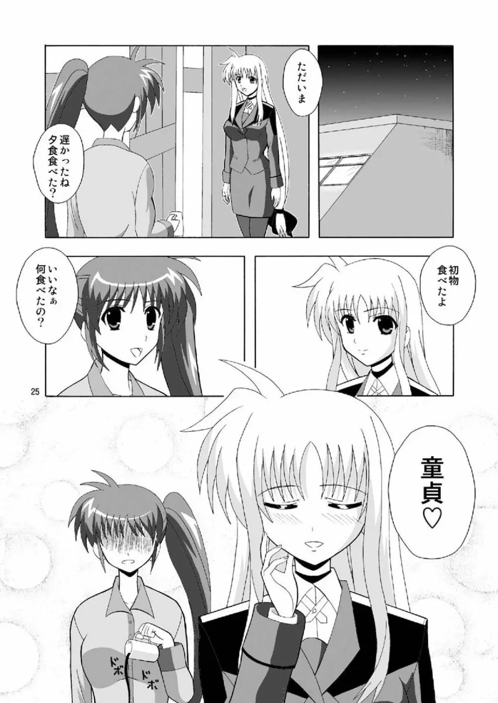 フェイトで筆おろし Page.25