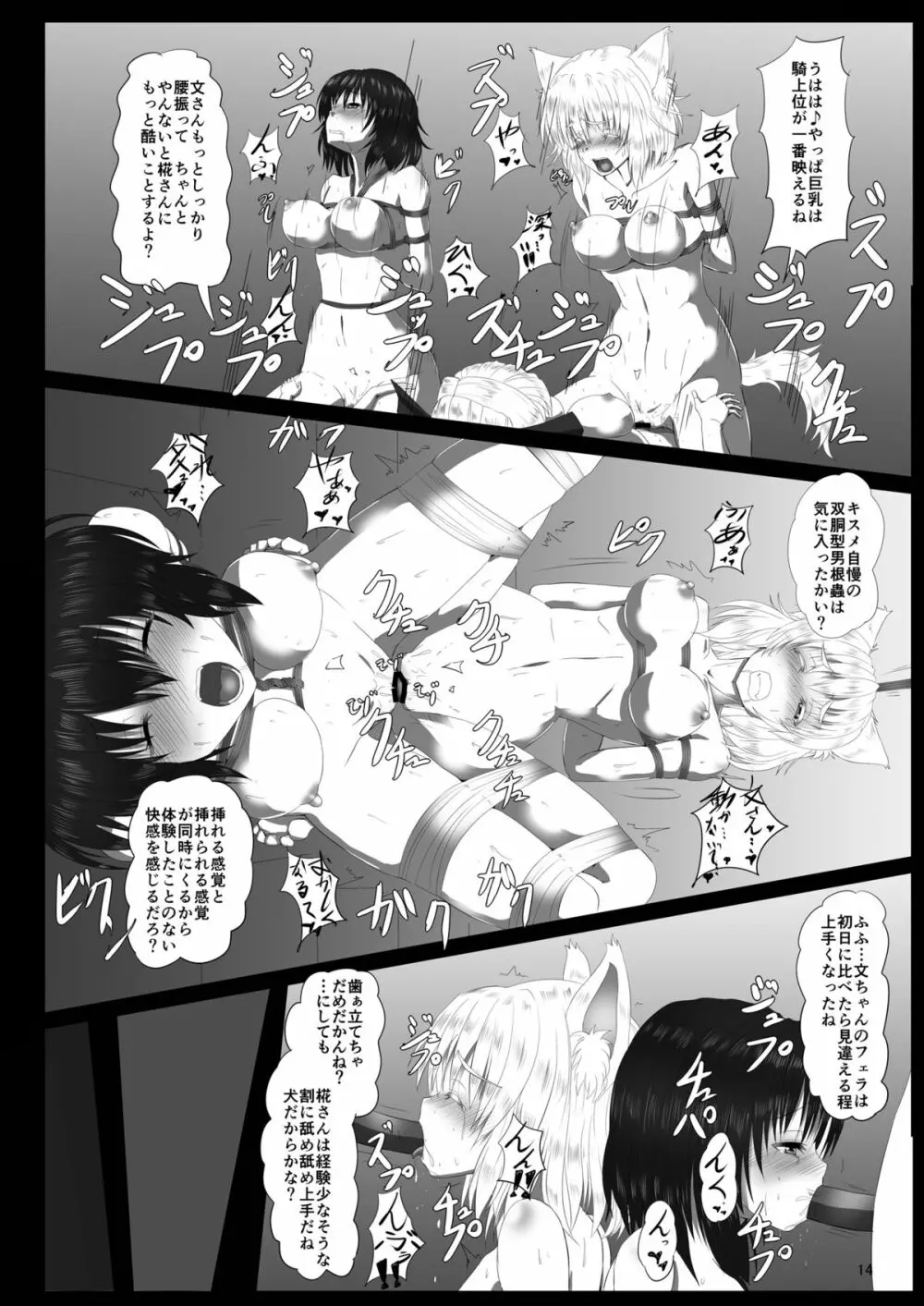 触縛シリーズ2.5 白狼捕縛 Page.16