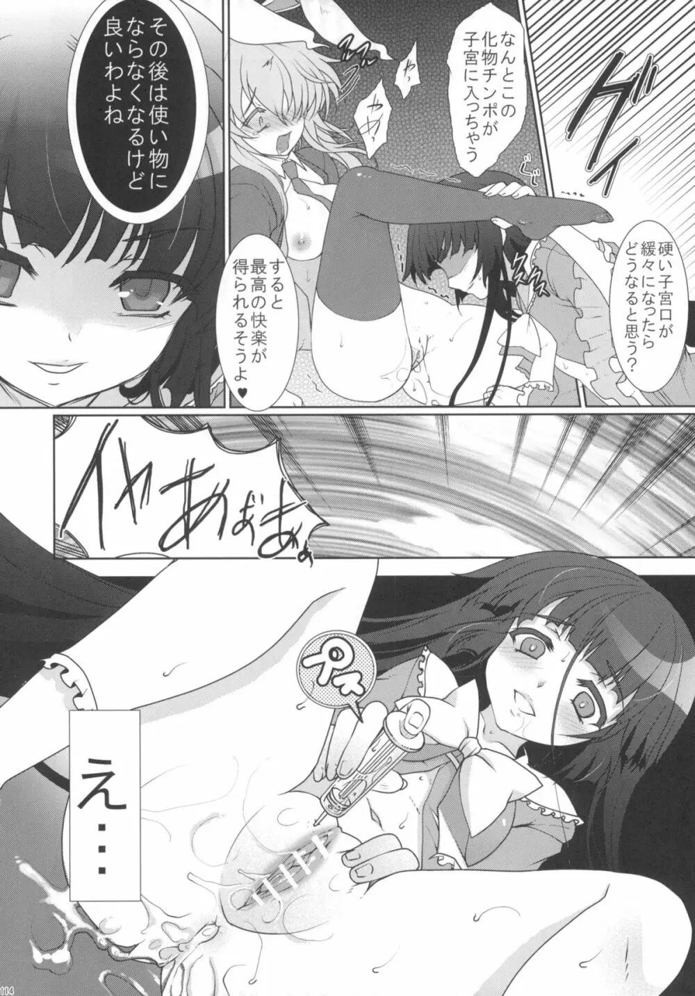 2010-2011まとめ本 2 Page.113