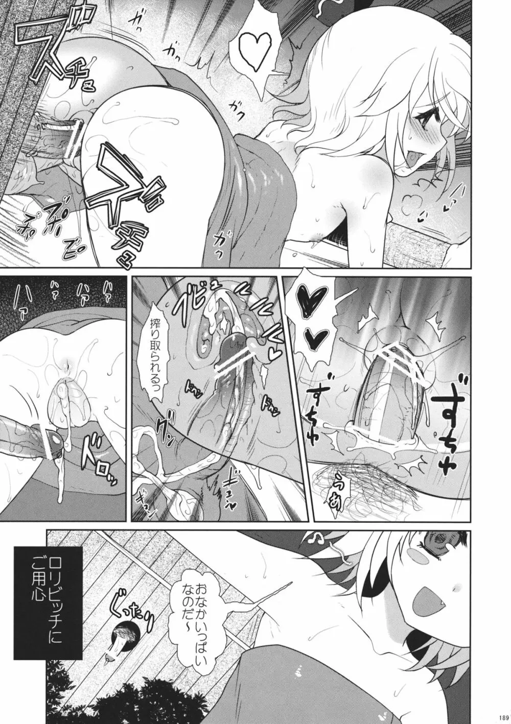 2010-2011まとめ本 2 Page.188