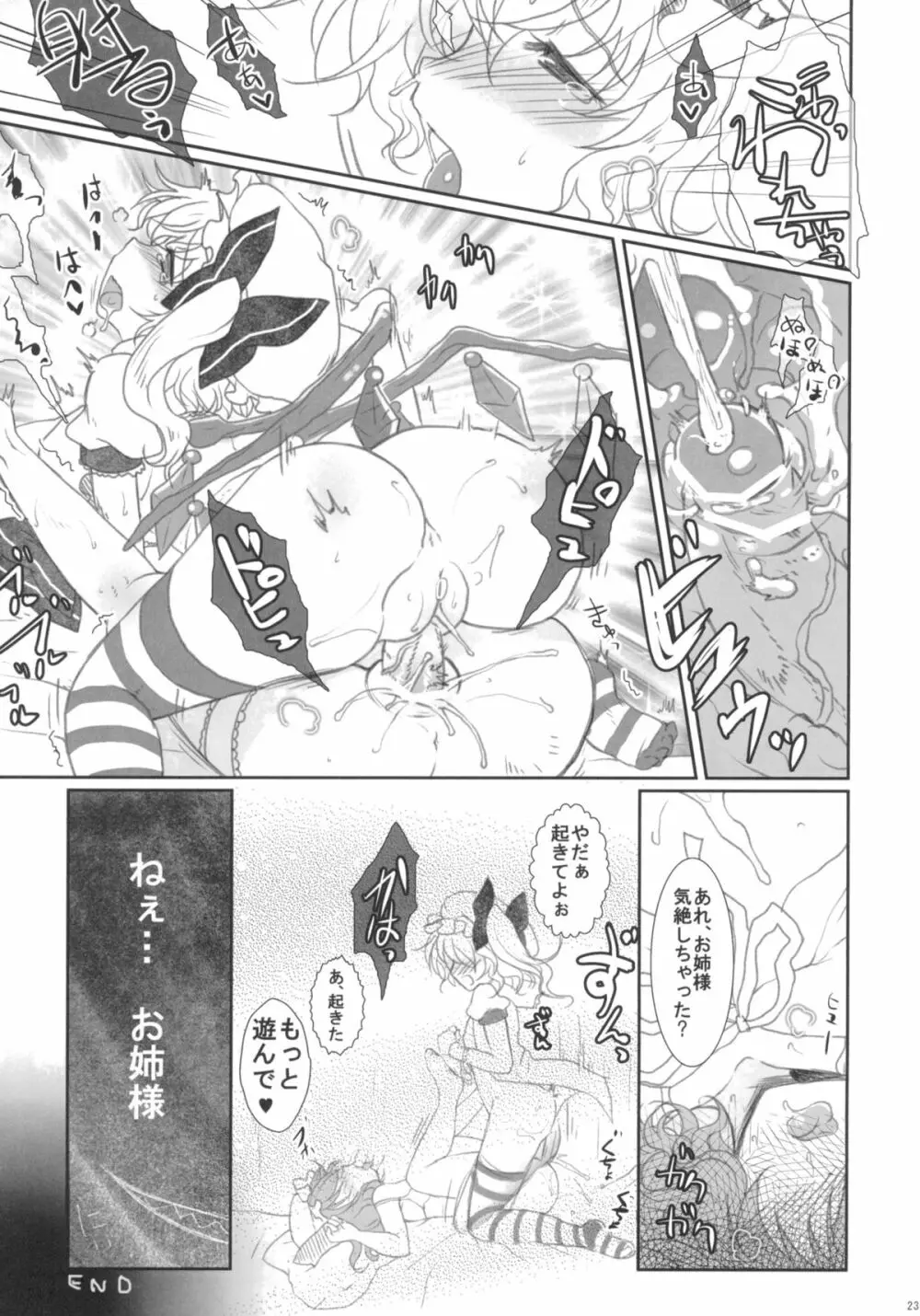 2010-2011まとめ本 2 Page.22