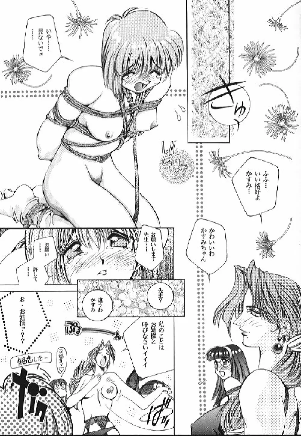 SEXCEED Ver 4.1 Page.12