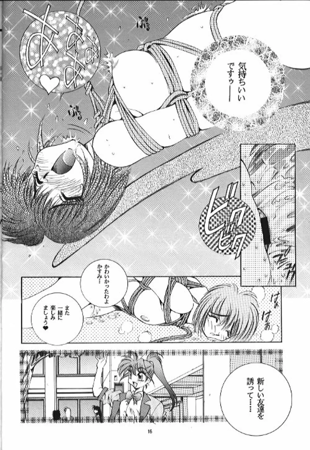 SEXCEED Ver 4.1 Page.15