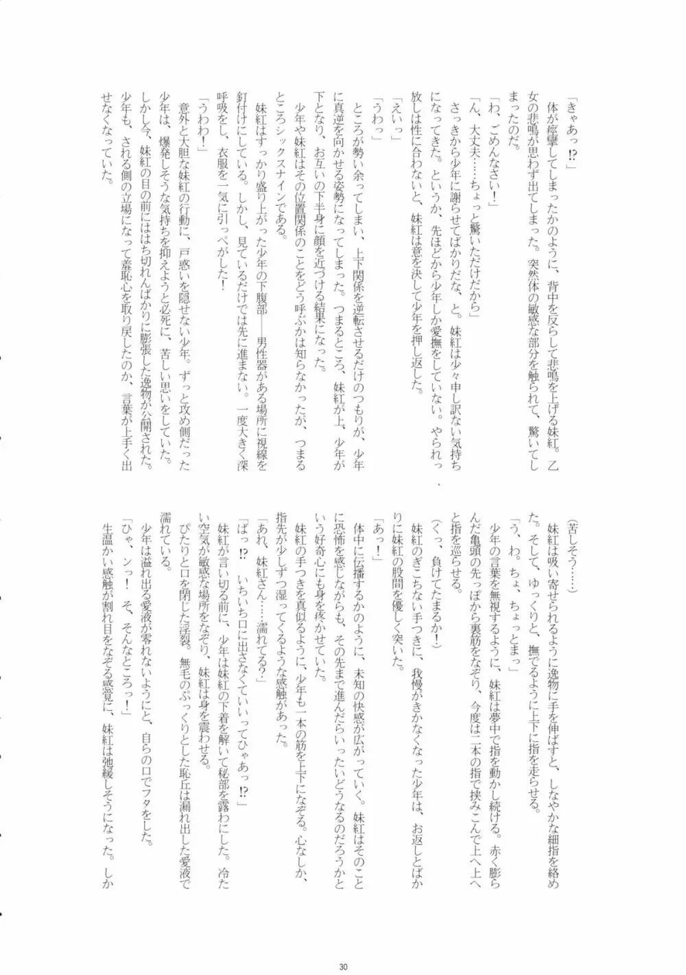 藤原妹紅を愛し隊 Page.29