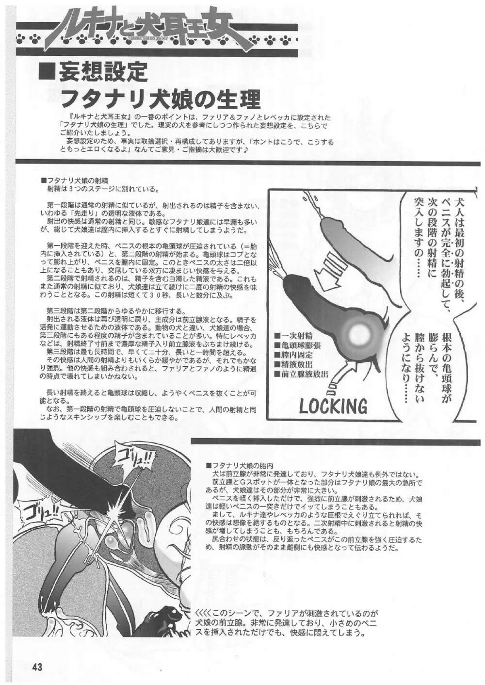 TGWOA Vol.12 - ルキナと犬耳王女 Page.42