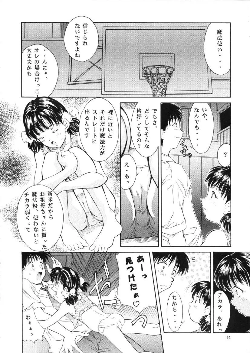 平成にんふらばぁ 10 Page.13