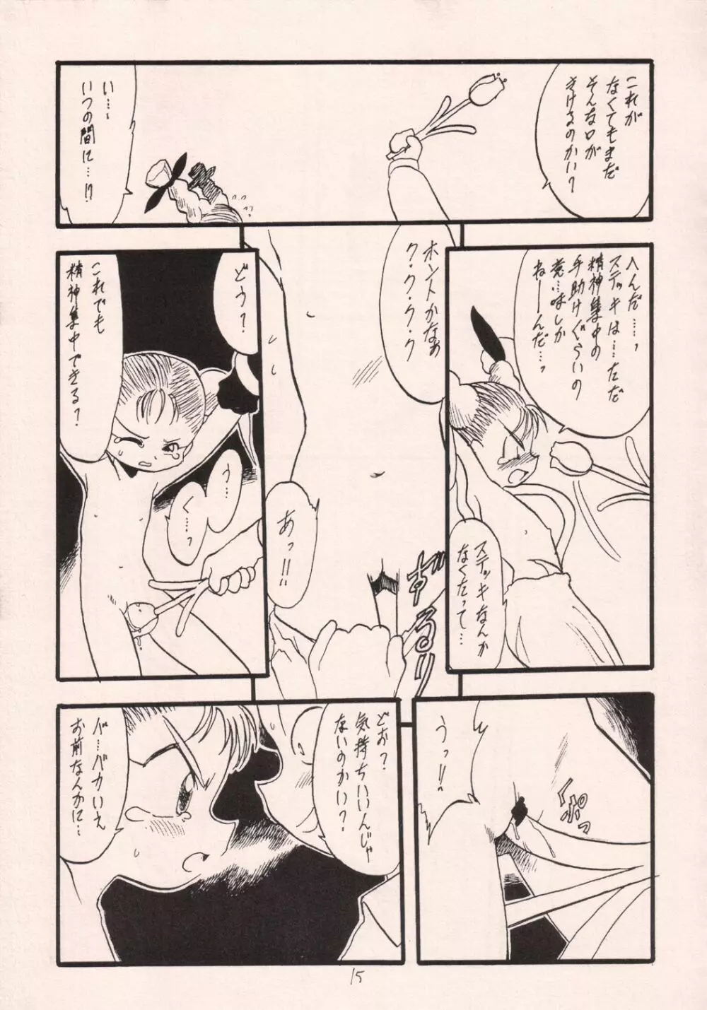 お菓子の楽園 Page.14